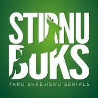 STIRNUBUKS