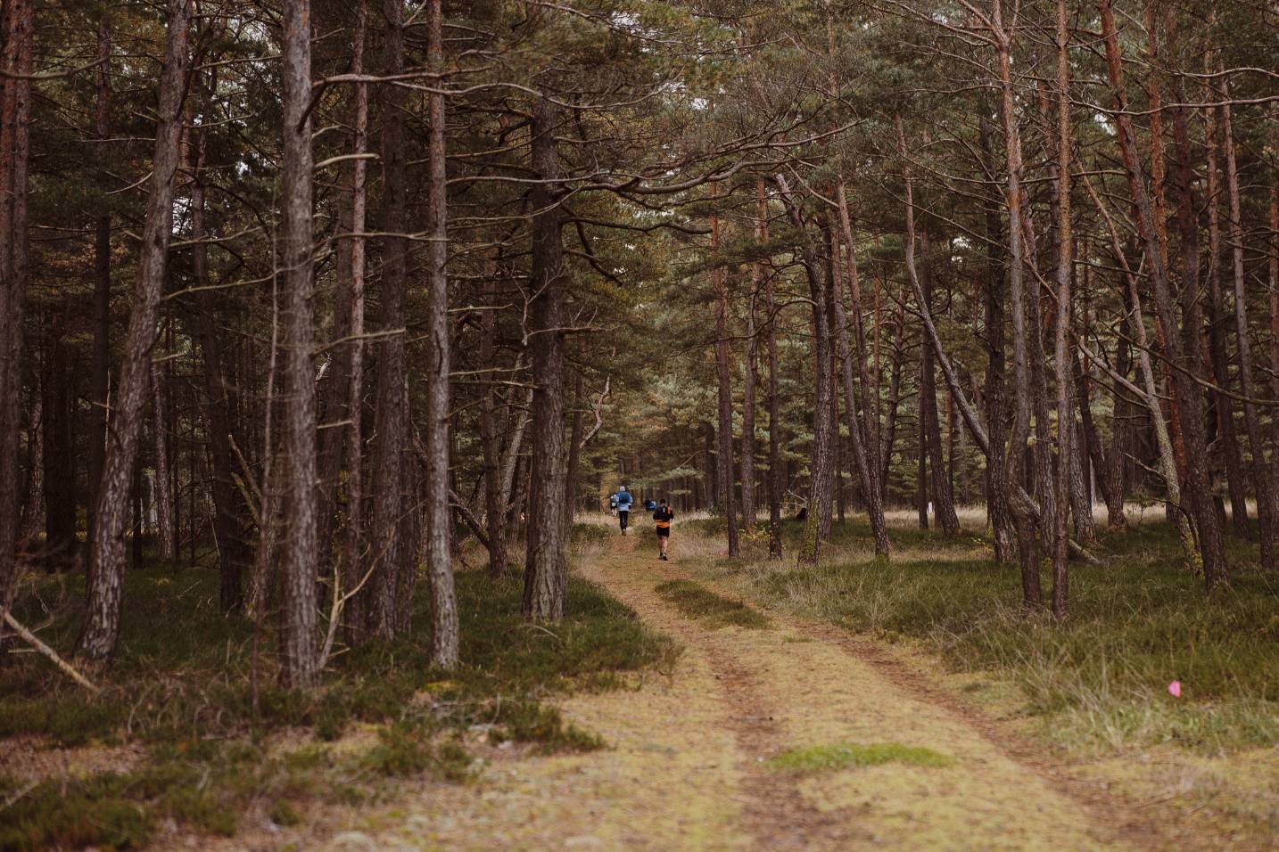 2025_10_18 Trail Kuršių Nerija_Tautvydas Juknevičius-238